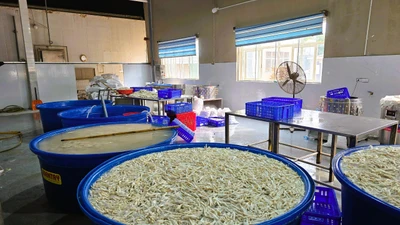 Phát hiện gần 7 tấn chân gà ngâm chất tẩy trắng 