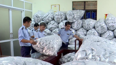 Bắc Ninh phát hiện kho chứa 40.000 gói rong biển trôi nổi
