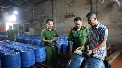 Triệt phá cơ sở bán 60 tấn giá đỗ "ngậm" chất tăng trưởng