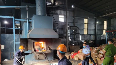 Phú Yên tiêu hủy 293 hàng hóa giả, kém chất lượng