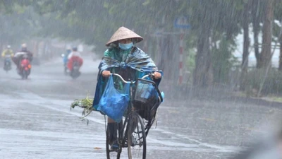 Thời tiết 18/5: Miền Bắc có mưa rào vào chiều tối và đêm
