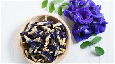 Hoa đậu biếc sử dụng sai cách, rủi ro cho sức khỏe