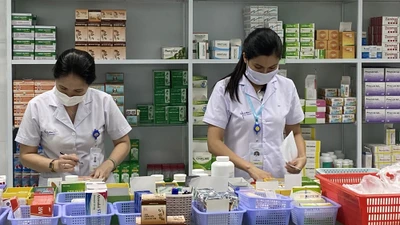 Thanh toán BHYT đối với thuốc y học cổ truyền, dược liệu 