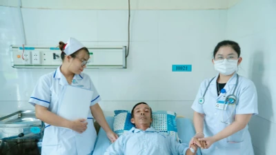 Sốc phản vệ do kiến ba khoang 'tấn công'
