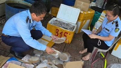 Quảng Bình phát hiện gần 270 kg thực phẩm không rõ nguồn gốc