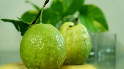 Vì sao ổi giàu vitamin hơn cam?