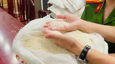 Trên thị trường không có gạo giả mà chỉ giả thương hiệu