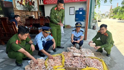 Phát hiện gần 500kg chân gà, đuôi lợn không rõ nguồn gốc