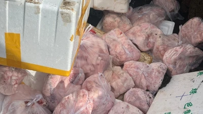 Đắk Lắk tiêu hủy 400 kg thịt heo không rõ nguồn gốc