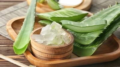 Lợi ích của nha đam