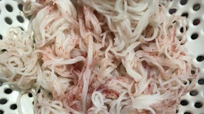 Tạm đình chỉ cơ sở sản xuất bún đổi màu đỏ ở Đà Nẵng