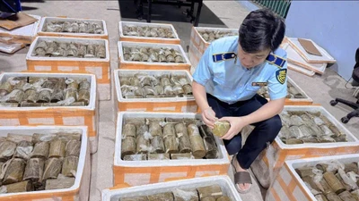 Phú Yên phát hiện, tiêu hủy 1 tấn chả chay không rõ xuất xứ