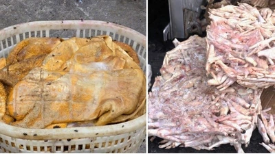 Tiêu hủy hơn 25 tấn thực phẩm đông lạnh bốc mùi hôi thối