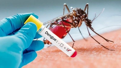 TP HCM dịch sốt xuất huyết diễn biến phức tạp