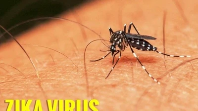 Virus Zika bùng phát tại Thái Lan 