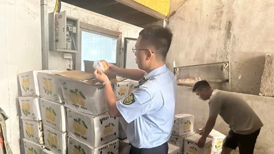 Thái Nguyên tiêu huỷ gần 1,2 tấn hoa quả không rõ nguồn gốc