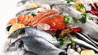 Lợi ích bất ngờ của cá đối với sức khỏe 