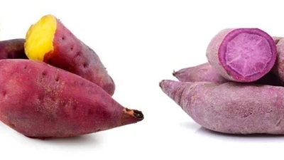 Tác dụng tuyệt vời của khoai lang
