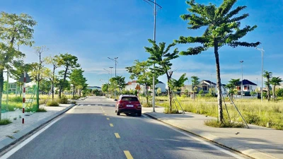 Quảng Trị sắp đấu 40 lô đất, khởi điểm từ 1,8 tỷ đồng/lô