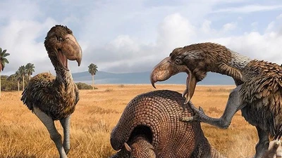 Cái mỏ đáng sợ của chim săn mồi khủng nhất thời tiền sử 