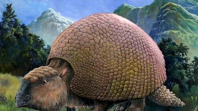 Loài thú bọc giáp dài 3 mét tuyệt chủng do con người 