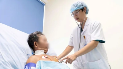 Bị ong vò vẽ đốt 30 vết, người đàn ông thoát chết thần kỳ