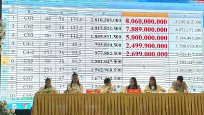 “Sốc” với màn đấu giá đất ở Quảng Trị, có lô vượt 73 triệu đồng/m2