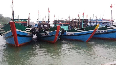 Quảng Bình kêu gọi tất cả tàu thuyền vào bờ trú tránh bão