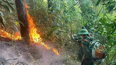 Kịp thời dập tắt đám cháy rừng phòng hộ ở khu vực Đèo Ngang