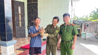 Người dân giao nộp cá thể cu li quý hiếm ở Quảng Bình