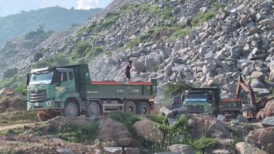 Khánh Hoà xử phạt nhiều đơn vị vi phạm trong lĩnh vực tài nguyên, môi trường