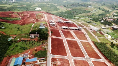 Lâm Đồng sắp đấu giá 20 thửa đất, khởi điểm từ 9 triệu đồng/m2