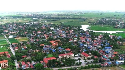 Hải Dương đấu giá thành công 4.000 m2, thu về hơn 40 tỷ đồng