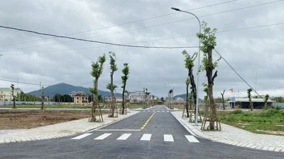Quan Thanh đưa 19 lô đất lên sàn, khởi điểm từ 1,5 triệu/m2