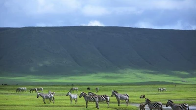 Kỳ thú khu bảo tồn thiên nhiên nằm lọt miệng núi lửa cổ đại khổng lồ 