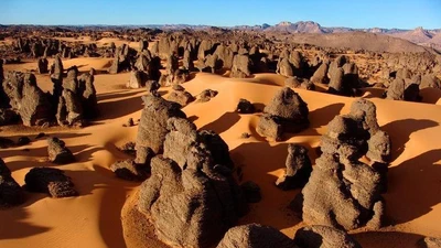 Khám phá kho báu nghệ thuật tiền sử 15.000 bức họa giữa Sahara