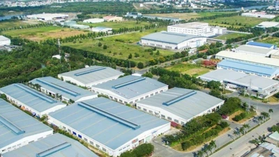 Vi phạm môi trường, Shiba Vina bị phạt 320 triệu đồng