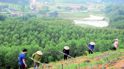 Triển khai kế hoạch chủ động ứng phó với biến đổi khí hậu