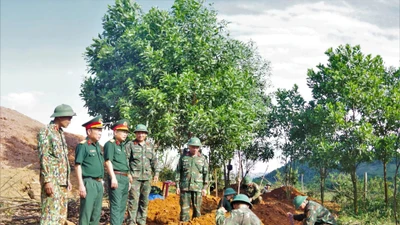 Phát hiện thêm hài cốt liệt sĩ tại Khe Sanh