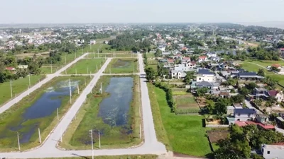 Thanh Hóa sắp đấu giá 26 lô đất, khởi điểm từ 8 triệu/m2