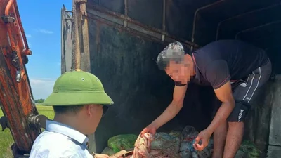 Bắt giữ hơn 1 tấn sản phẩm động vật không rõ nguồn gốc