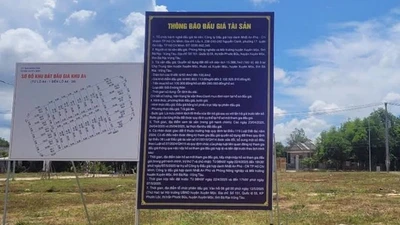 Vũng Tàu đấu giá thành công 82 lô đất, cao nhất gần 2,5 tỷ