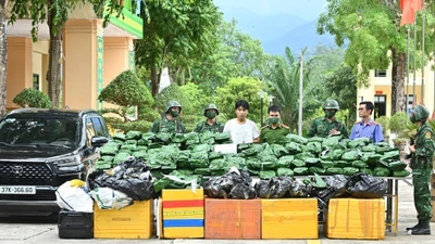 Triệt phá đường dây mua bán 240 kg cần sa khô ở Hà Tĩnh