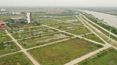Ninh Bình sắp đấu 148 lô đất, khởi điểm 10 triệu đồng/m2