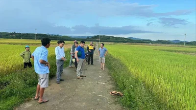 Cụ bà ở Hà Tĩnh bị sét đánh tử vong giữa đồng