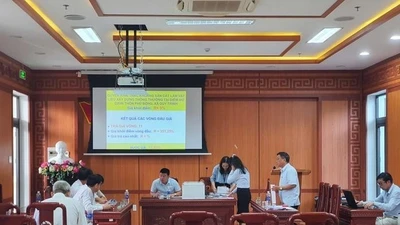 Mỏ cát được đấu giá 138 tỷ đồng, gấp 77 lần mức khởi điểm