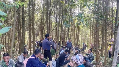 Phát hiện bộ xương người trong rừng ở Quảng Trị