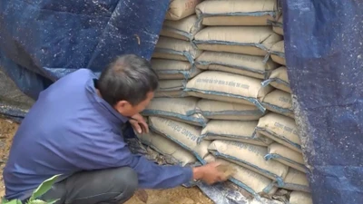 Tạm đình chỉ công tác chủ tịch xã ở Hà Tĩnh 