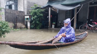 Hỗ trợ khẩn cấp 160 tấn hạt giống lúa cho TP Huế