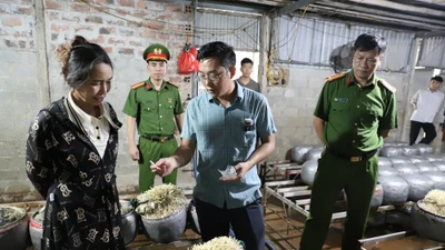 Hãi hùng cơ sở dùng chất cấm sản xuất giá đỗ ở Hà Tĩnh